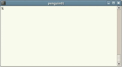 Unix终端窗口